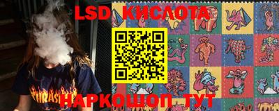 крисы Владикавказ
