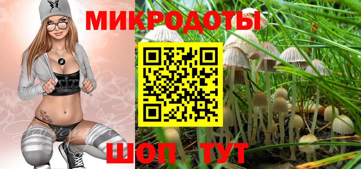 Ачхой-Мартан  Псилоцибиновые грибы Psilocybe  Псилоцибиновые грибы MAGIC MUSHROOMS  закладка  Вход с VPN 