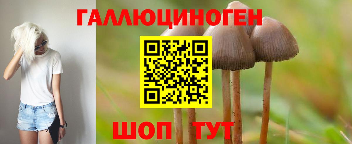 Галлюциногенные грибы ЛСД Ачхой-Мартан